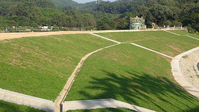虎门镇花灯盏水库大坝安全加固工程